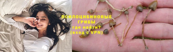мдпв Бугульма