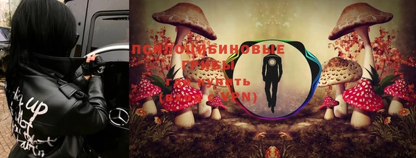 стафф Балахна