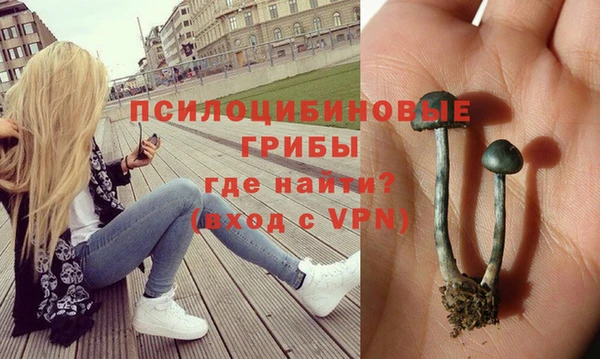 мдпв Бугульма