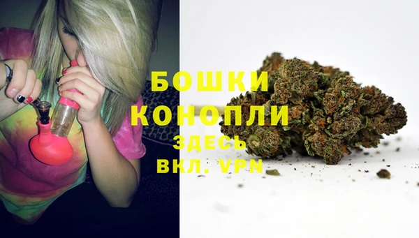 мдпв Бугульма