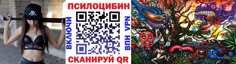Псилоцибиновые грибы ЛСД Павловская