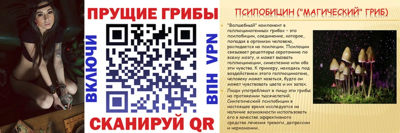 Галлюциногенные грибы GOLDEN TEACHER Павловская